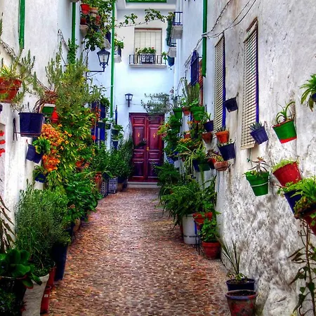 El Patio Dona Julia Lägenhet *