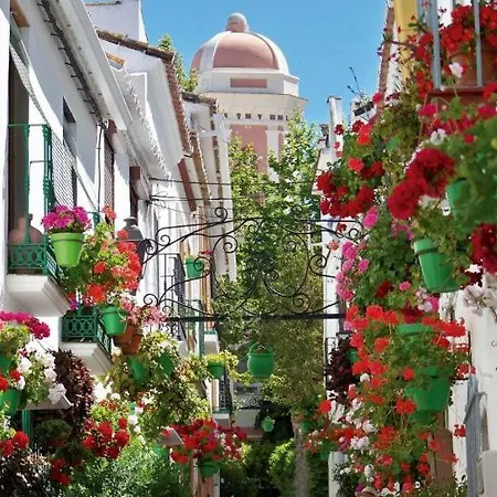 El Patio Dona Julia * Casares