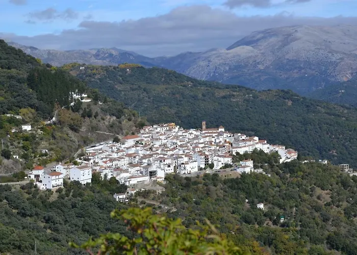 El Patio Dona Julia * Casares